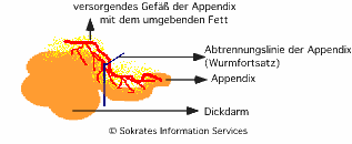 appendix3